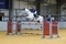 Lexie Lane & Beechmount Romeo win the Scottish Branch South East Championship 2025